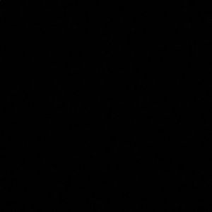 Meet your Posher, Abigail